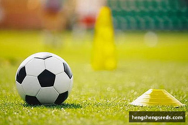 发现bevictor伟德